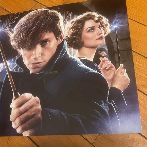 Harry Potter Original fantastic beasts poster 2018 NEW - Picture 9 of 10